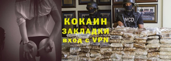 сатива Няндома