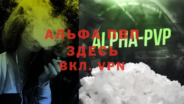 сатива Няндома
