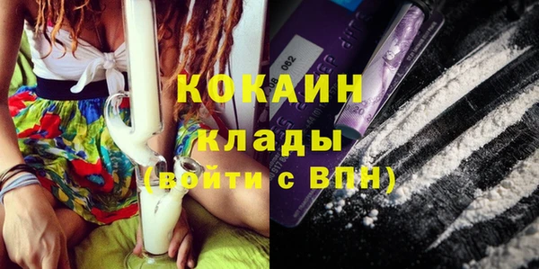 мдпв Болотное