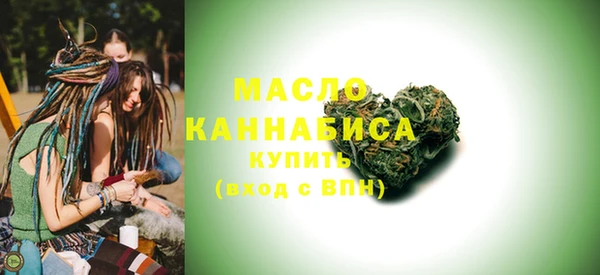 сатива Няндома