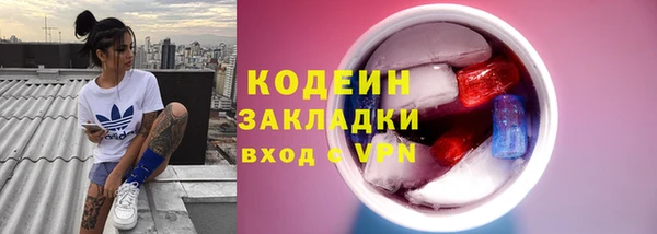 сатива Няндома