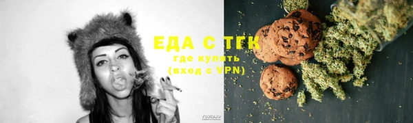 сатива Няндома