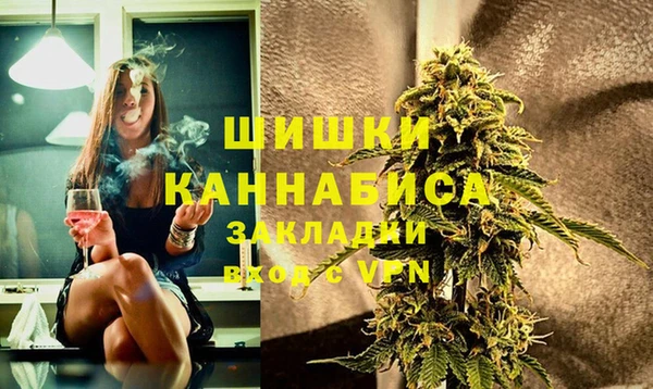 сатива Няндома