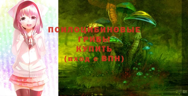 сатива Няндома
